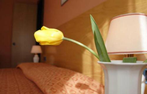 Hotel Des Geneys 바르도네키아 외부 사진